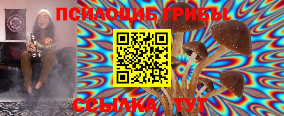 Псилоцибиновые грибы Psilocybine cubensis  сколько стоит  Вход с VPN  Клин  Галлюциногенные грибы GOLDEN TEACHER 